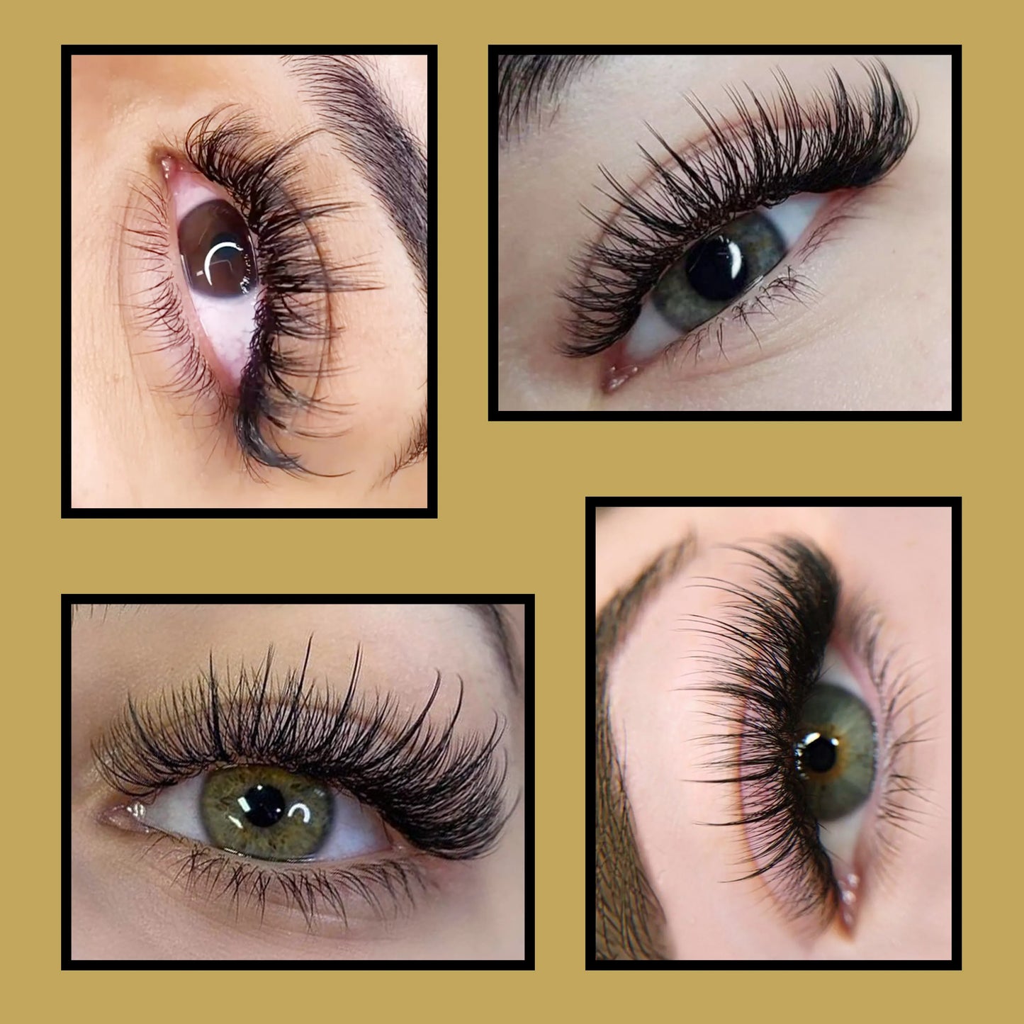 CoMango Premium 5D Flower Fairy Flora Lashes Premade Fans Individual Lashes Extension Soft Natural Makeup