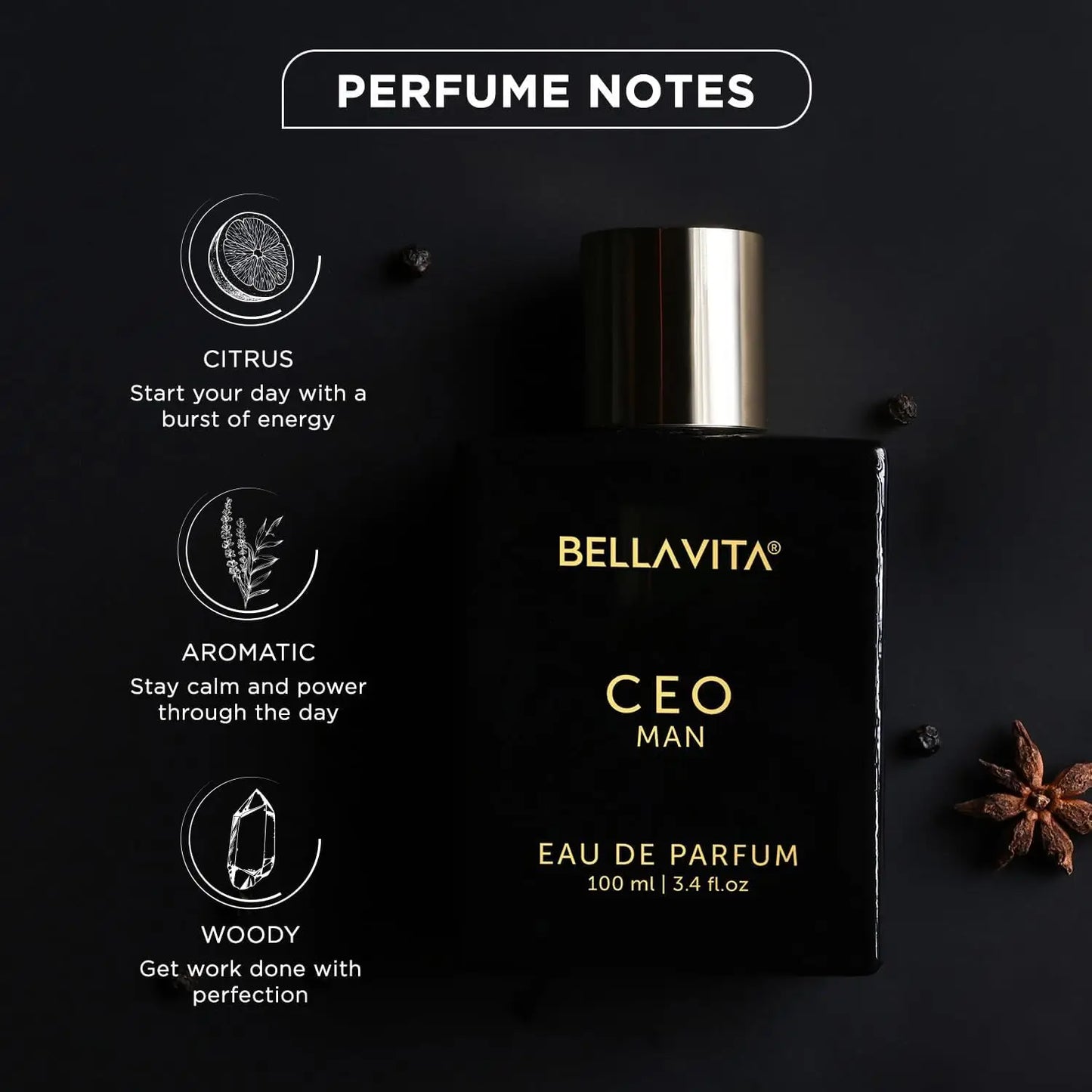 BellaVita Luxury CEO Men's Perfume 3.38 Fl.oz Long-Lasting Fragrance with Lemon Lavender Tonka Vetiver Moss for Men
