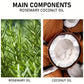 Rosemary Oil Hair Essential Coconut Oil Improve Hair Loss And Nourishes Strengthen Hair Roots Scalp Treatment Hair Care
