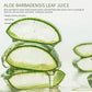 150ml Aloe Vera Cleanser Face Mousse Wash Refreshing Hydrating And Water-locking Deep Cleansing For Facial Skin Beauty Skincare