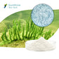 Hot 70% Sponge Microcrystal Freeze-dried Powder DIY Facial Mask Natural Seaweed Bone Plant Extract Mask Facial Skin Care