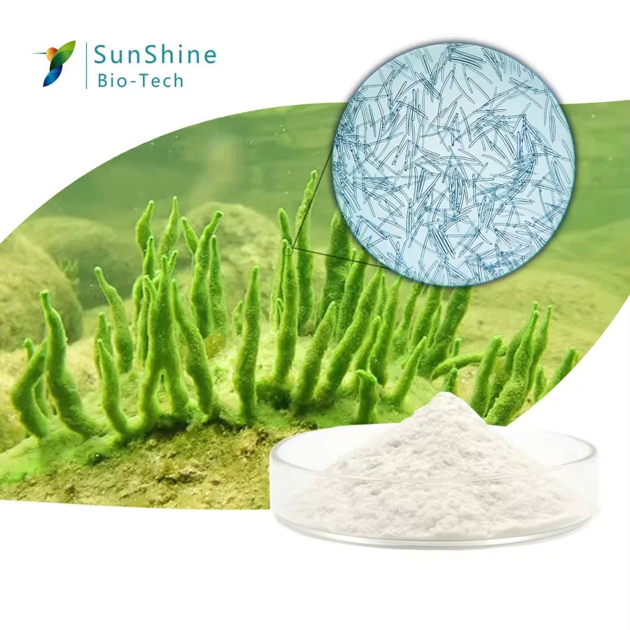 Hot 70% Sponge Microcrystal Freeze-dried Powder DIY Facial Mask Natural Seaweed Bone Plant Extract Mask Facial Skin Care