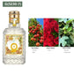 50ml Sweet Floral Fruity Notes Eau De Parfum Long Lasting Women's Perfume Fresh Light Scent Fragrances Body Spray Balminess Gift