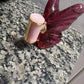 Sweet Amber Floral Perfume for Women – Long-Lasting Romantic Scent, Ideal Valentine’s & Holiday Gift, Single Bottle