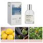 100ml Brand No. 33 Sandalwood Perfume Women Lasting Light Fragrance Laboratory Fresh Body Spray Black Tea Luxury High-end Parfum