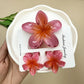 3Pcs Sweet Colorful Plumeria Flower Shark Clip Hair Claw Bohemian Ponytail Clip Plastic Hairpin Barrette Summer Hair Accessories