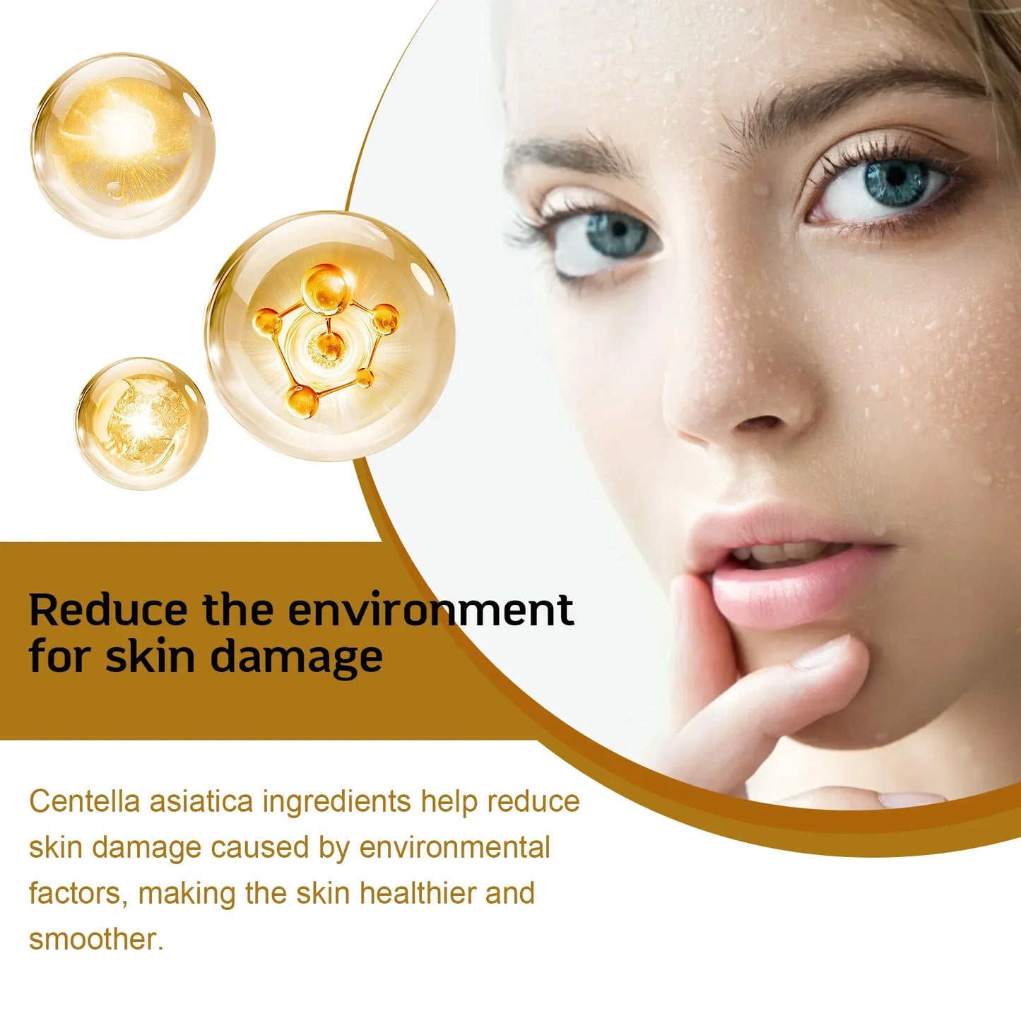 Centella Essence Moisturizes Improvement Dry Skin Smoothing Rejuvenation Brighten Hyaluronic Acid Face Essence Skin Care Product