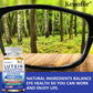 Lutein and Zeaxanthin Capsules - Eye Vitamins for Adults Eye Health Supplement with Glucomannan, Ashwagandha for Vision & Eyes