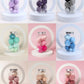 7 件套 Makeup Sponge Cosmetic Puff Foundation Sponges Blender Beauty Egg Powder Puffs Make up Accessories Women Makeup Tools