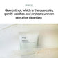 Heartleaf Quercetinol Pore Deep Cleansing Foam Cleanser Skin Care For Women