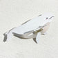 Creative Funny Acetate Tortoise Sturgeon Fish Shark Hairpin Oversize Marine Animal Barrettes Thick Hair Clip Claw Accessories