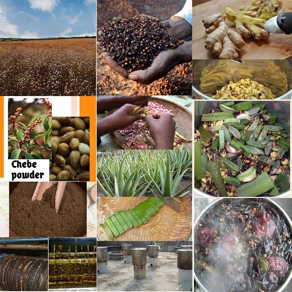 Moroccan Clove Oil Awaken Hair Follicles's Penetrating Deep From Roots to Ends Strengthen Every Strand for Lush Abundant Curls
