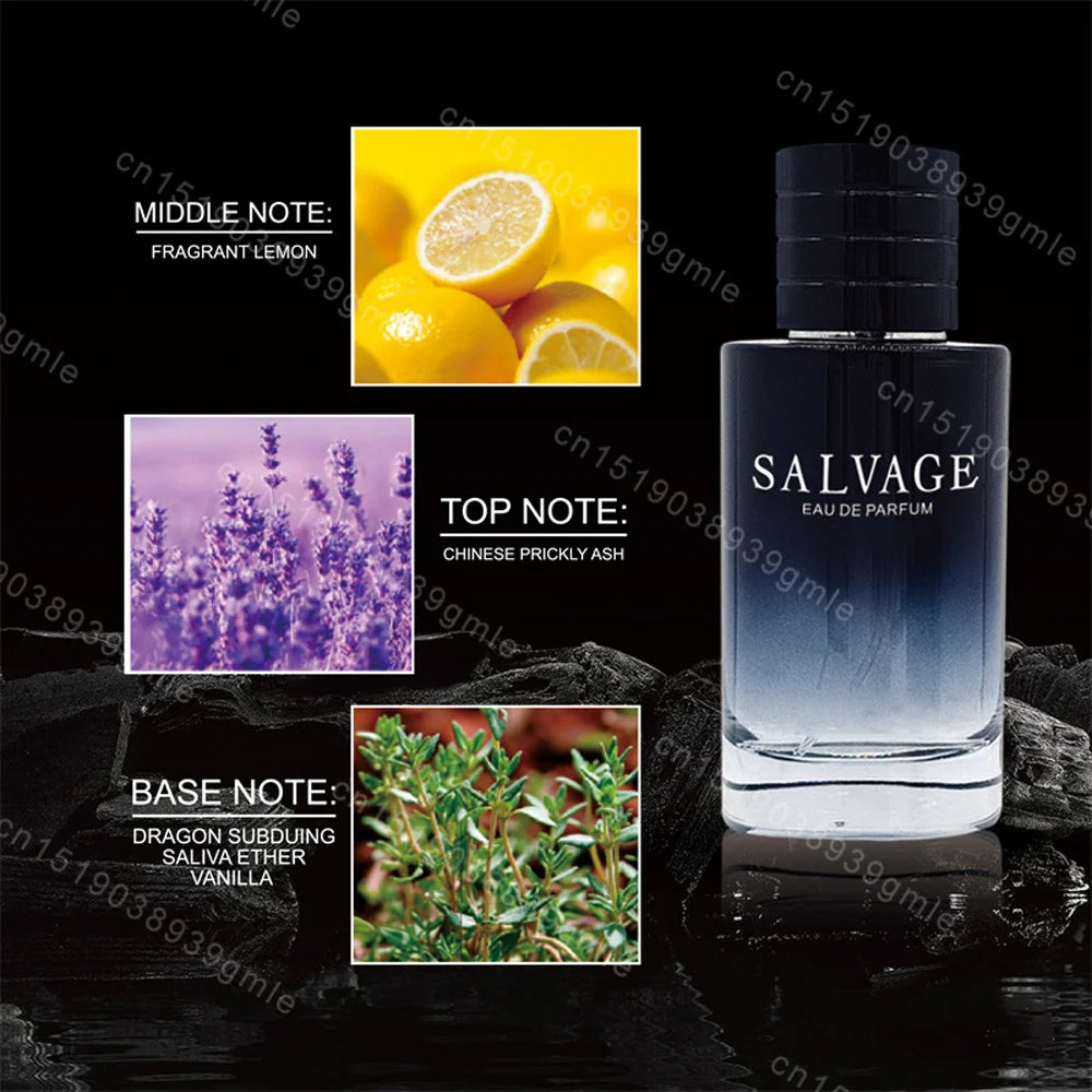 50ml Original Gradients Perfume,Woody Spicy,Lasting Strong Masculine Men,Taste Strong Spicy Pheromone Cologne,Body Spray Hombre