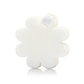 Grapefruit Cassis | Boxed Flower